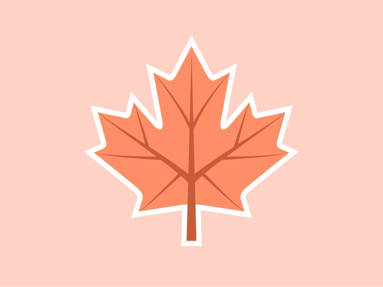 Autumn Maple Leaf Illustration