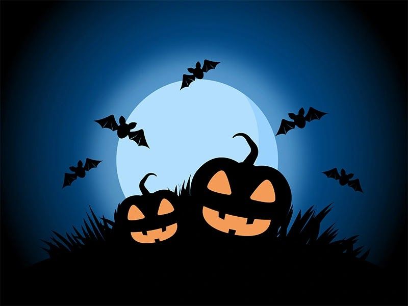 abstract, background, bat, horror, dark, bat, pumpkin, grass, template, fool moon, creepy, graveyard, illustration of spooky Halloween horror pumpkin illustration, Halloween horror pumpkin